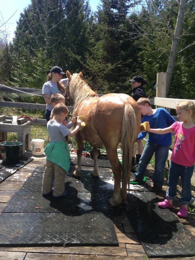 Island kids given Blaze a bath on a recent Fun Day Sunday.  (Photo: Leanne Brodeur)